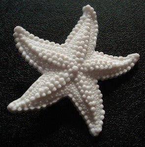 Image of Starfish brooch - white (free shipping)