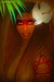 Image of Taina