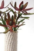 Image of Cotton Vase