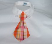 Image of Salmon & Pink Necktie on UncommonPaws.com