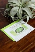 Image of $250 Gift Certificate