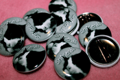 Image of cat button