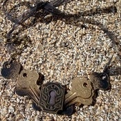 Image of Locked Out