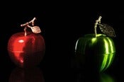 Image of Saint Side - D.L & Co. - Le Pomme Vert