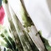Image of Project Alabama Secret Garden dress