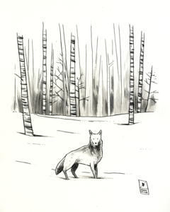 Image of PRINT :: Lord Snow's Wolf