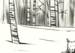 Image of PRINT :: Lord Snow's Wolf