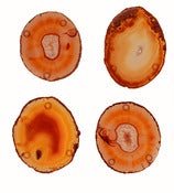Image of AGATE COASTERS