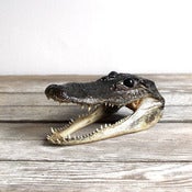 Image of Small Alligator Head 
