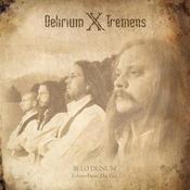 Image of NEW ALBUM! Belo Dunum - Echoes from the past