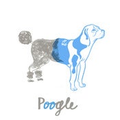 Image of Poogle 
