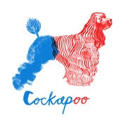 Image of Cockapoo