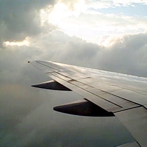 Image of To Fly Home