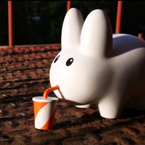Image of A Labbit