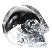Image of Mirrored Skull