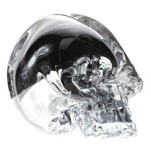 Image of Mirrored Skull