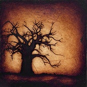 Image of 12x12" Panel Print - Horizon Series - Baobab Tree 2 Brown