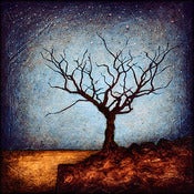 Image of 12x12" Panel Print - Horizon Series - Dormant Tree 1