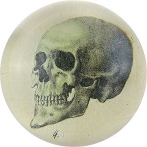 Image of Skull Paperweight