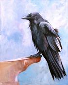 Image of Raven Study