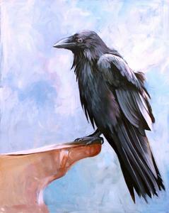Image of Raven Study