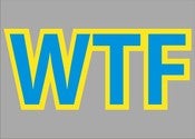 Image of WTF Hoodie - Pick your own colors!
