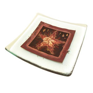 Image of Designer Star Dish. 14cm, 22cm, 30cm