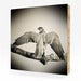 Image of Zaire, Lanner Falcon #2