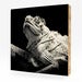 Image of Ferdinand, Philippine sail-fin lizard #2