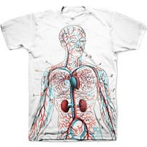 Image of BASIC ANATOMY pre-order tee shirt