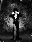 Image of Elvira