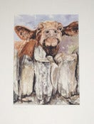 Image of 'Nosey Coo' - Limited Edition Mounted Print