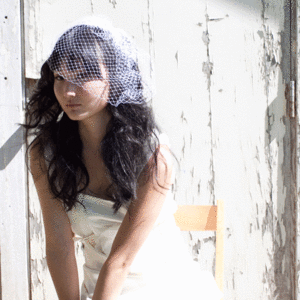 Image of Birdcage Veil 