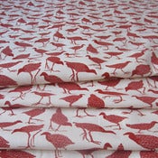 Image of Waterhen tomato on off white