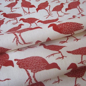 Image of Waterhen tomato on off white