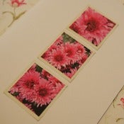 Image of CHRYSANTHEMUM Greetings Card ~ 308