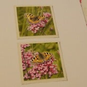Image of BUTTERFLY Greetings Card ~ 201