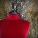 Image of Velvet Red Mannequin