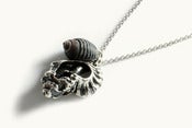 Image of Mini Skull shell 