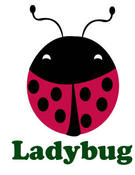 Image of ladybug