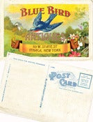 Image of 25 blue bird antiques postcards
