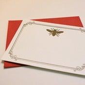 Image of entomologie {orange}