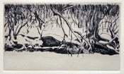 Image of Winter's Edge
