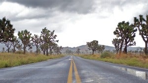 Open Road Joshua Tree CA