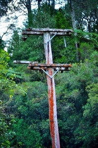 Green Pole NZ