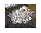 Image of Discard 23 (Location S033º 56’ 40.20” E 151º 09’ 33.00”) by Danny Eastwood