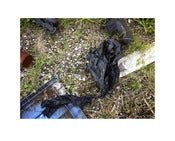 Image of Discard 15 (Location S033º 56’ 41.40” E 151º 09’ 33.00”) by Danny Eastwood