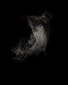 Image of Discard 3 (Galvanized Iron Wire) by Danny Eastwood