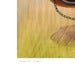 Image of "Inspector Bosc" giclee print