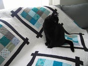 Image of PICTURE DAY QUILTS pdf quilt pattern